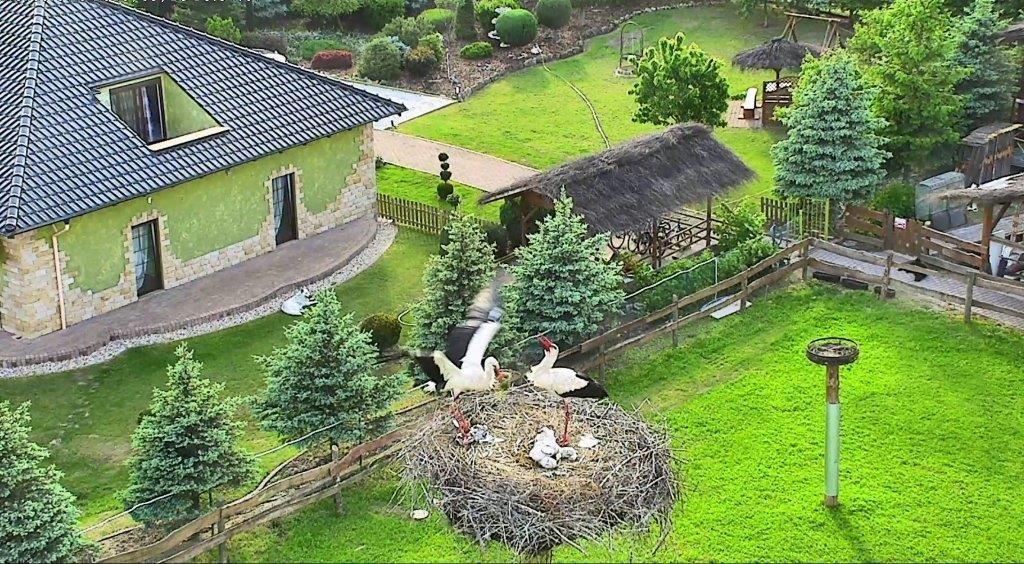 Agroturystyka Klekusiowo Boleslawiec  Eksteriør bilde