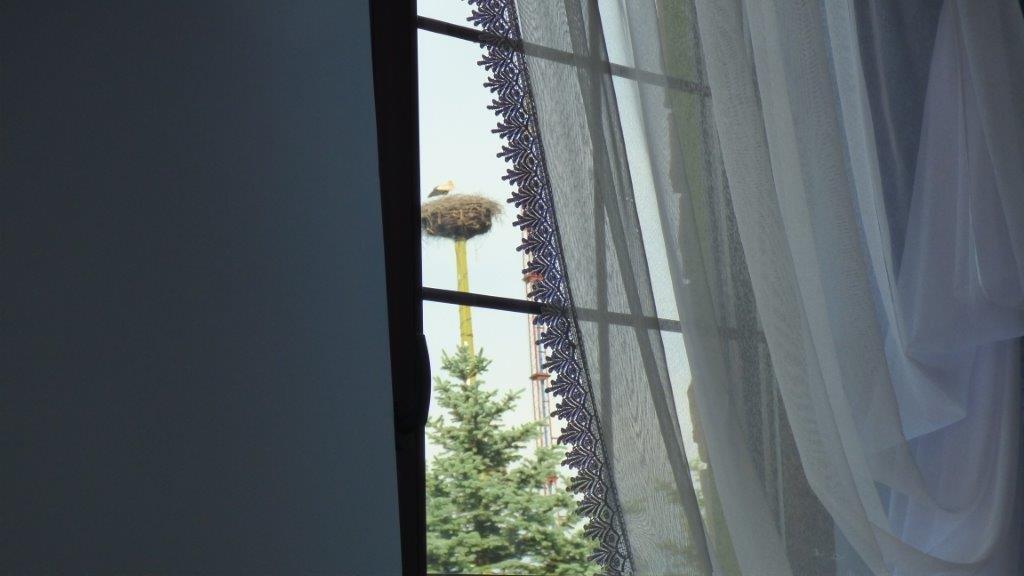 Agroturystyka Klekusiowo Boleslawiec  Eksteriør bilde